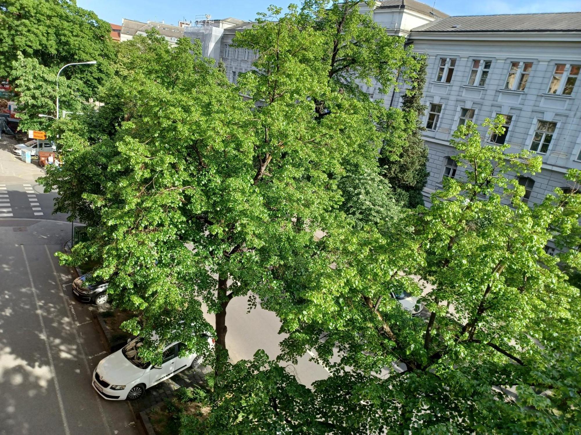 Apartment Theatrum Záhřeb Exteriér fotografie